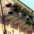12 - Mensole per balcone Tipo Liscio Tortona zona Piazza delle Erbe